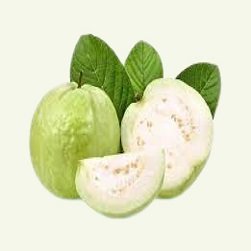 guava